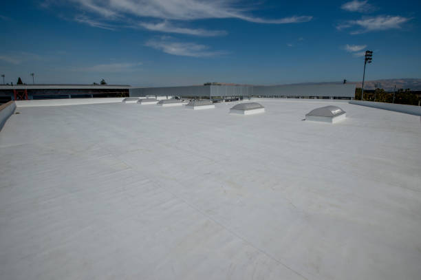 Best Commercial Roofing Services  in Seadrift, TX