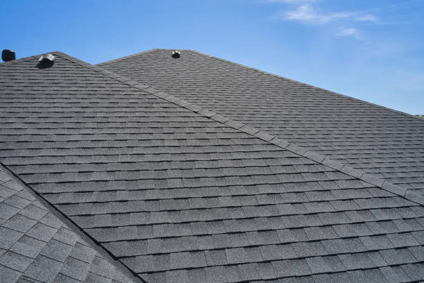 Best Skylight Installation and Repair  in Seadrift, TX