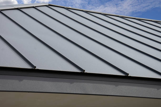 Best Asphalt Shingle Roofing  in Seadrift, TX