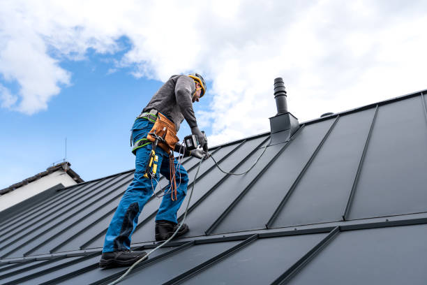 Best Gutter Replacement  in Seadrift, TX